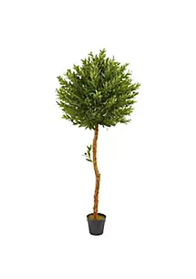 Nearly Natural 5.5-Foot Olive Topiary Artificial Tree UV Resistant (Indoor/Outdoor)