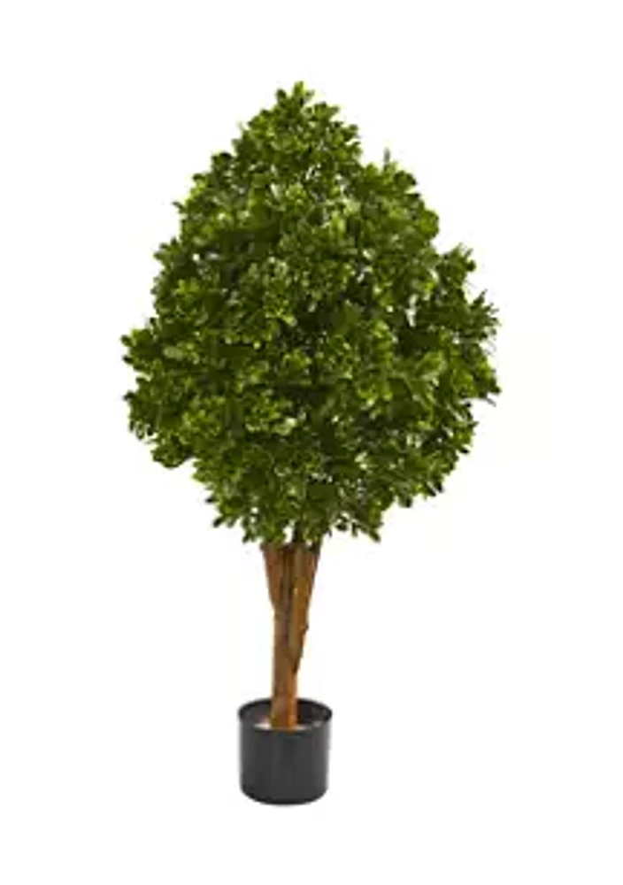 Nearly Natural Tea Leaf Tree Indoor/Outdoor