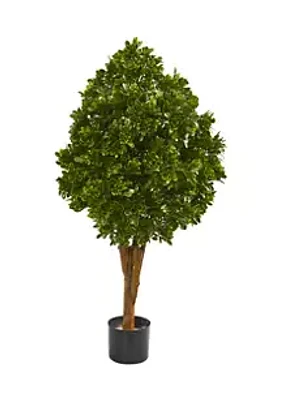 Nearly Natural Tea Leaf Tree Indoor/Outdoor