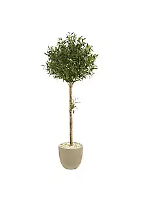 Nearly Natural 5-Foot Olive Topiary Artificial Tree in Sand Stone Planter
