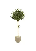 Nearly Natural 5-Foot Olive Topiary Artificial Tree in Sand Stone Planter