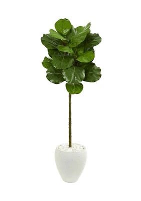 Fiddle Leaf Tree in Planter