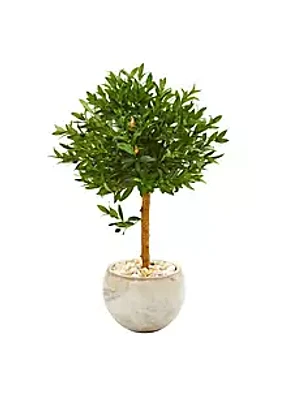 Nearly Natural 38-Inch Olive Topiary Artificial Tree in Bowl Planter UV Resistant (Indoor/Outdoor)