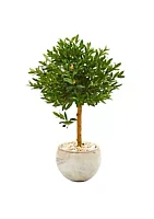 Nearly Natural 38-Inch Olive Topiary Artificial Tree in Bowl Planter UV Resistant (Indoor/Outdoor)