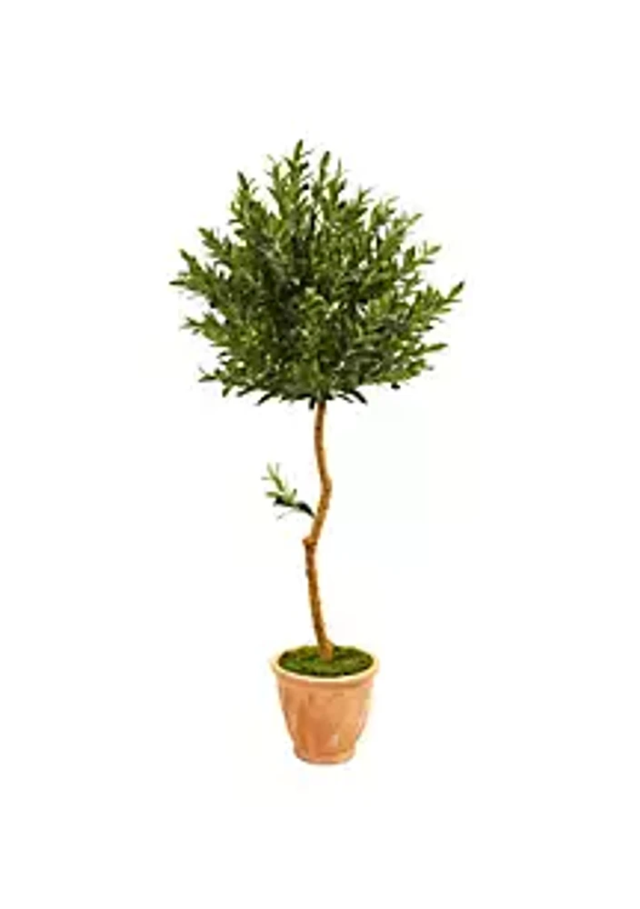 Nearly Natural 63-Inch Olive Topiary Artificial Tree in Terra Cotta Planter UV Resistant (Indoor/Outdoor)