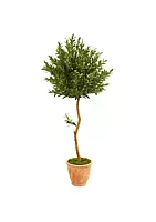 Nearly Natural 63-Inch Olive Topiary Artificial Tree in Terra Cotta Planter UV Resistant (Indoor/Outdoor)