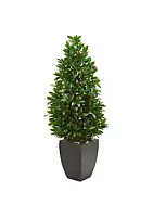 Nearly Natural -Inch Bay Leaf Cone Topiary Artificial Tree in Planter UV Resistant (Indoor/Outdoor