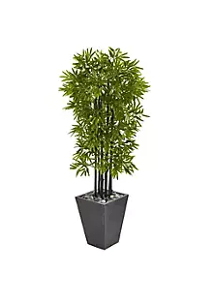 Nearly Natural 61-Inch Bamboo Artificial Tree with Black Trunks in Slate Planter UV Resistant (Indoor/Outdoor)