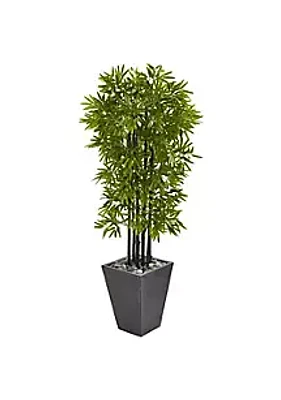 Nearly Natural 61-Inch Bamboo Artificial Tree with Black Trunks in Slate Planter UV Resistant (Indoor/Outdoor)
