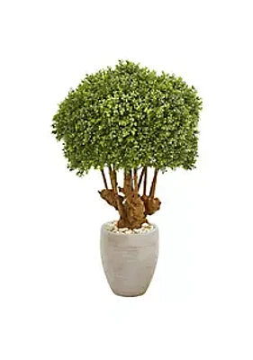 Nearly Natural 41-Inch Boxwood Artificial Topiary Tree in Sandstone Planter (Indoor/Outdoor)