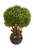 Nearly Natural Boxwood Topiary Tree in Decorative Bowl Indoor/Outdoor