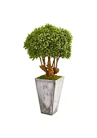 Nearly Natural 51-Inch Boxwood Artificial Topiary Tree in Cement Planter (Indoor/Outdoor)