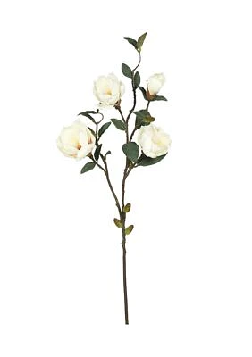 Cream Magnolia Floral Stem