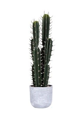 Artificial Cactus Plant.