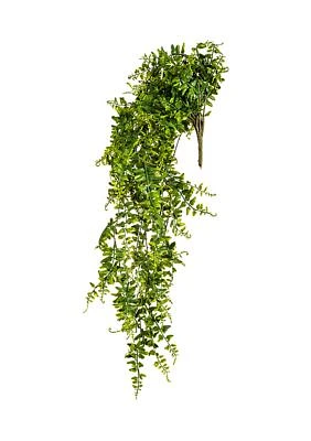 Green Butler Fern Vine