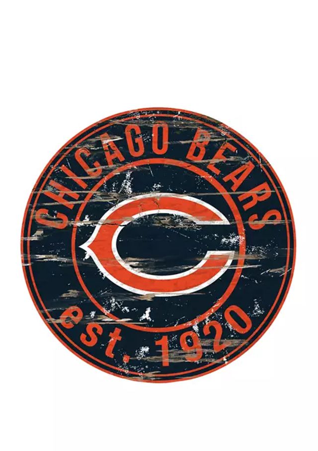 YouTheFan NFL Chicago Bears 3D StadiumViews Desktop Display