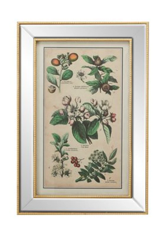 19.5 in x 28.5 in Large Vintage Style Plant Illustrations Textile in Mirror and Gold Rectangular Frame