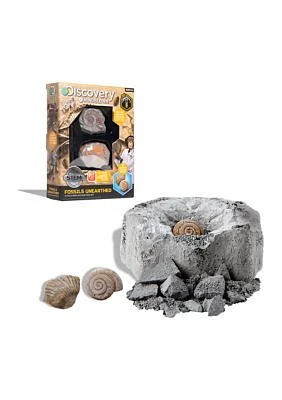 Mini Fossils Unearthed Excavation Kit 