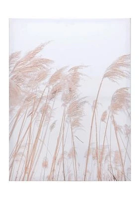 Sea Oats Canvas Wall Art