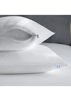 Elite Clean Luxury Zippered Pillow Protector