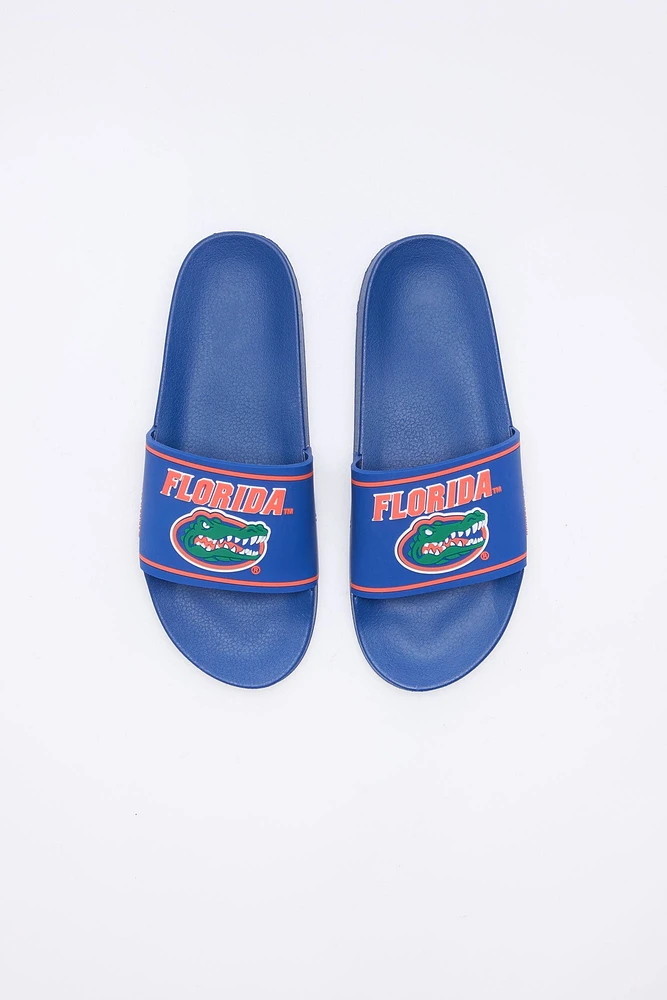 Florida Gators Slides