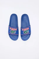 Florida Gators Slides