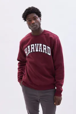 Harvard Graphic Crew Neck Pullover Sweatshirt