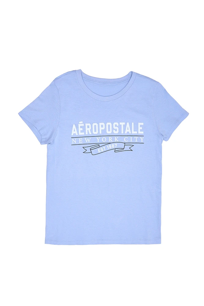 Aéropostale Banner Graphic Classic Tee