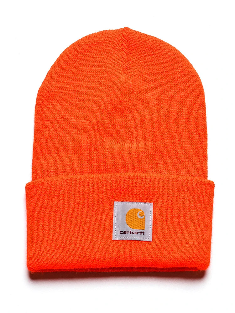 CARHARTT WATCH BEANIE