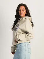 BARSTOOL SPORTS BSS ESTABLISHED PULLOVER HOODIE