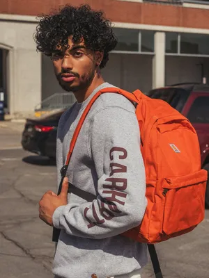 CARHARTT MIDWEIGHT CREWNECK LOGO SLEEVE - CLEARANCE
