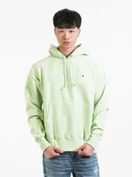 CHAMPION REVERSE WEAVE PULL OVER HOODIE