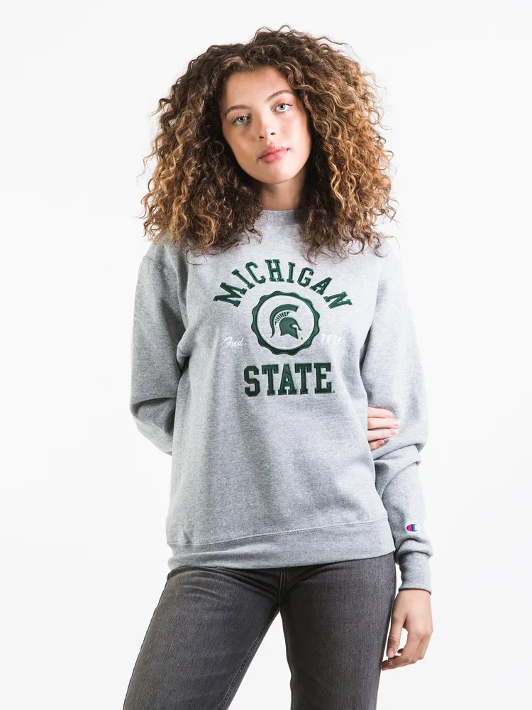 CHAMPION MICHIGAN CREWNECK - CLEARANCE