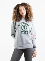 CHAMPION MICHIGAN CREWNECK - CLEARANCE