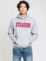 CHAMPION ECO POWERBLEND HOODIE - STANFORD CLEARANCE