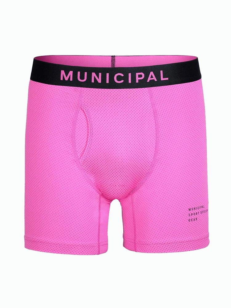 MUNICIPAL UNDERDOG SPORT BRIEF