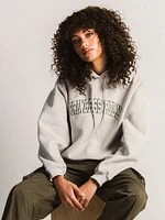 CHANDAIL À CAPUCHE COLLEGIATE PULLOVER