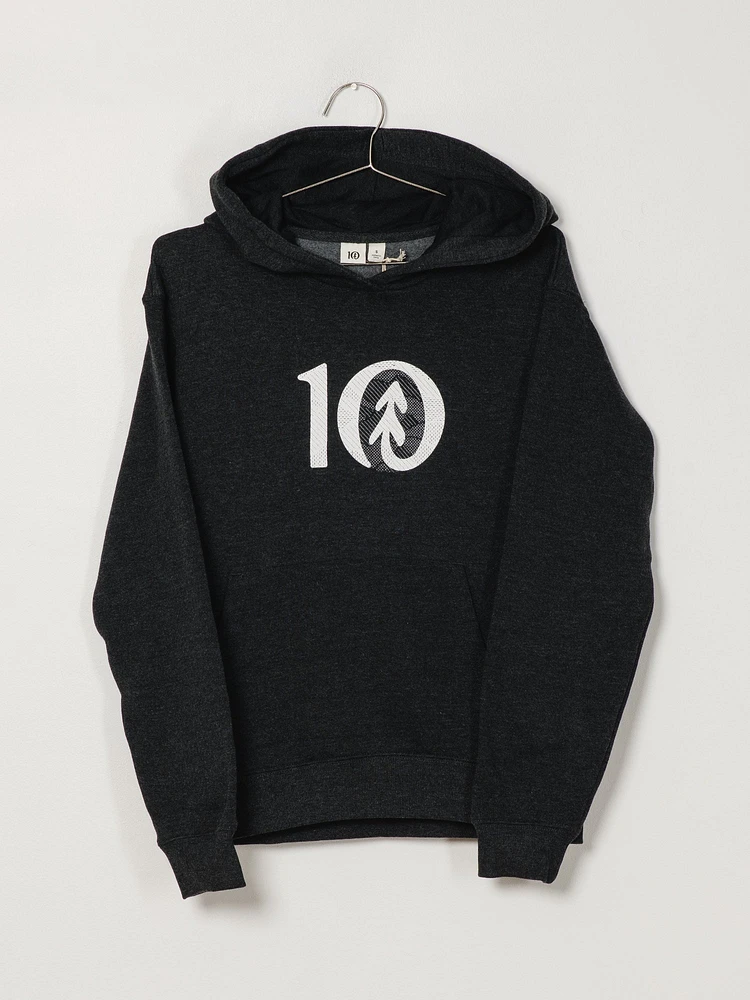 TENTREE ASPECT LOGO BOYFRIEND PULLOVER HOODIE - CLEARANCE