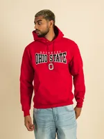 CHAMPION OHIO STATE HOODIE