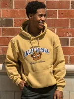 RUSSELL BERKELEY PULLOVER HOODIE