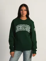 NCAA MICHIGAN STATE SLEEVE EMBROIDERED CREW