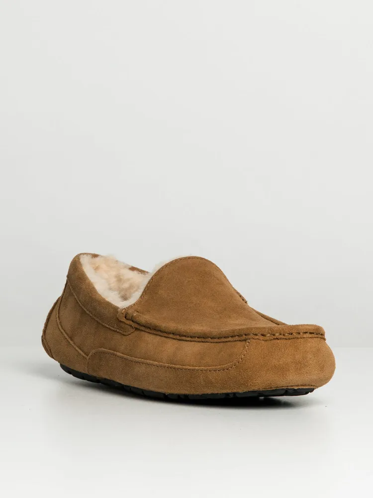 MENS UGG ASCOT - CLEARANCE