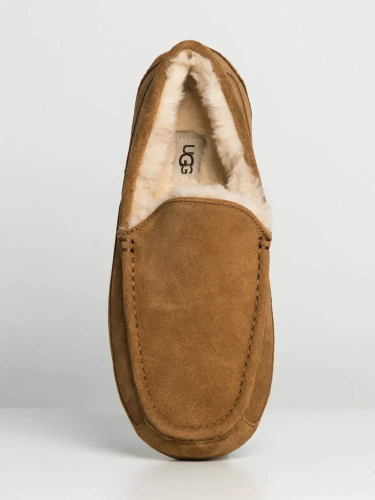 MENS UGG ASCOT - CLEARANCE