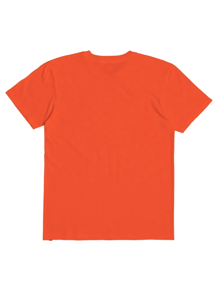 QUIKSILVER YOUTH BOYS LINED UP T-SHIRT - CLEARANCE