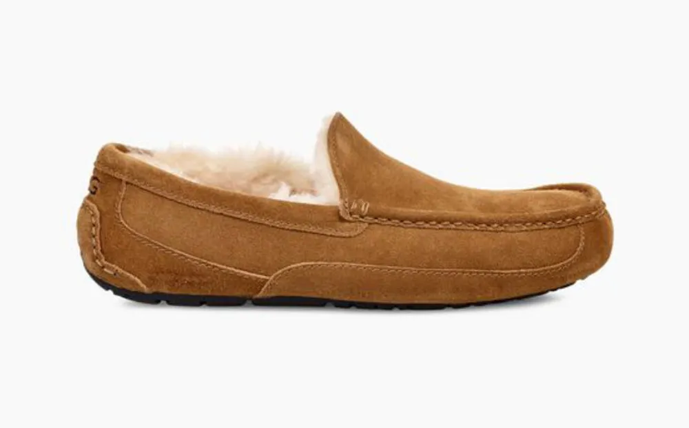 Ugg Men's Slipper Ascot Chestnut 1101110-CHE