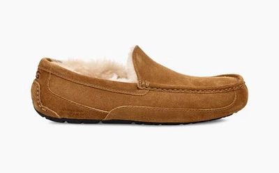 Ugg Men's Slipper Ascot Chestnut