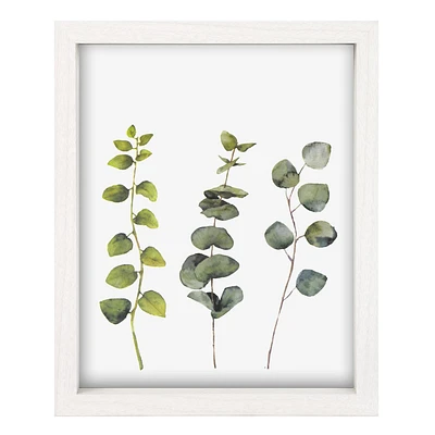 Picture frame 8 x 10 - Eucalyptus