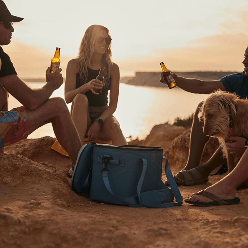 Cool Chill Soft Cooler Bag - Your Cool Companion for Every Adventure