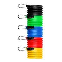 Archstone Active: Door Anchor Resistance Bands - Pack of 1 Set (5pc)