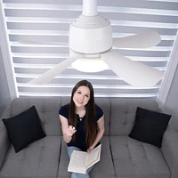 Breeze Ease 2-In-1 Fan And Light With Rc.